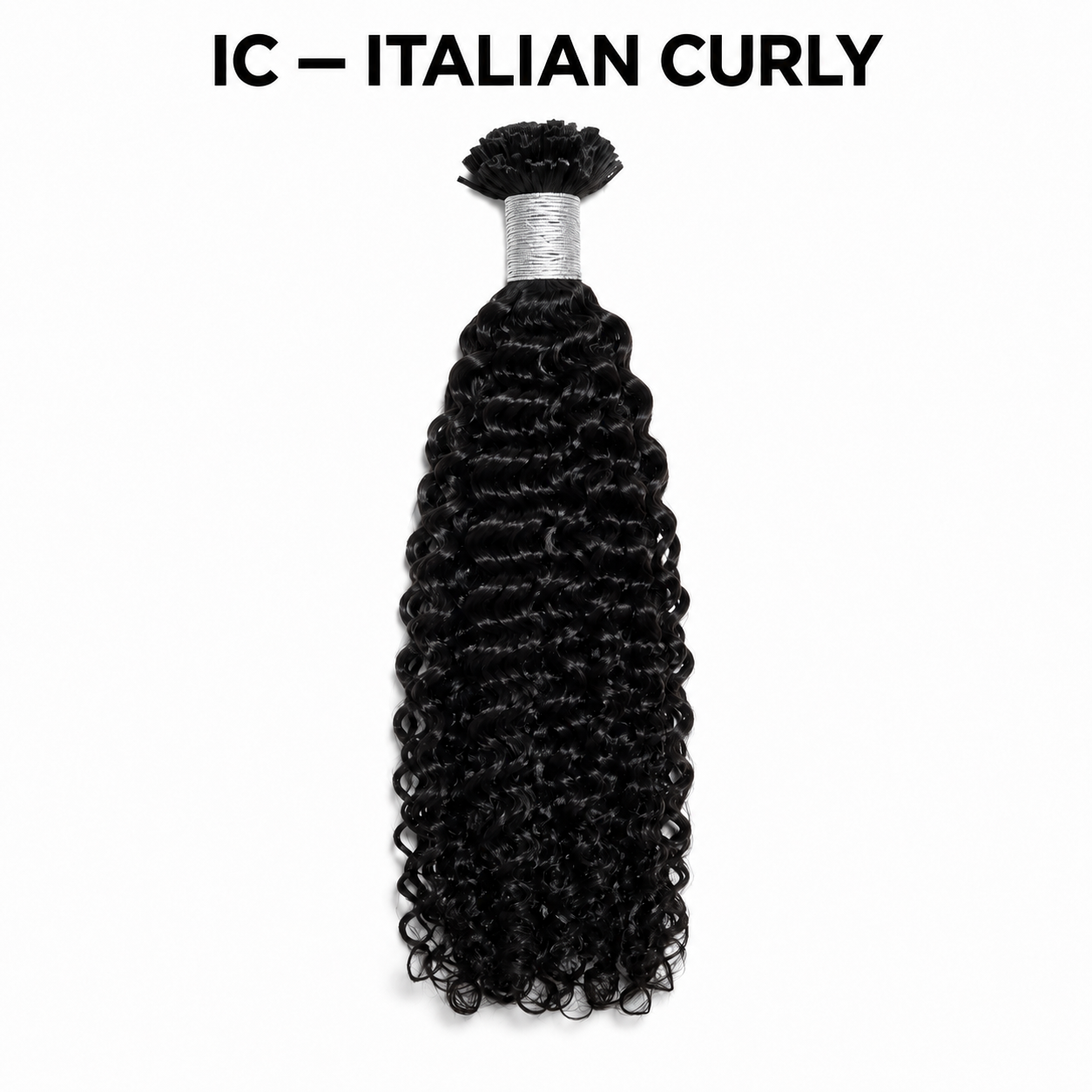 Italian Curly